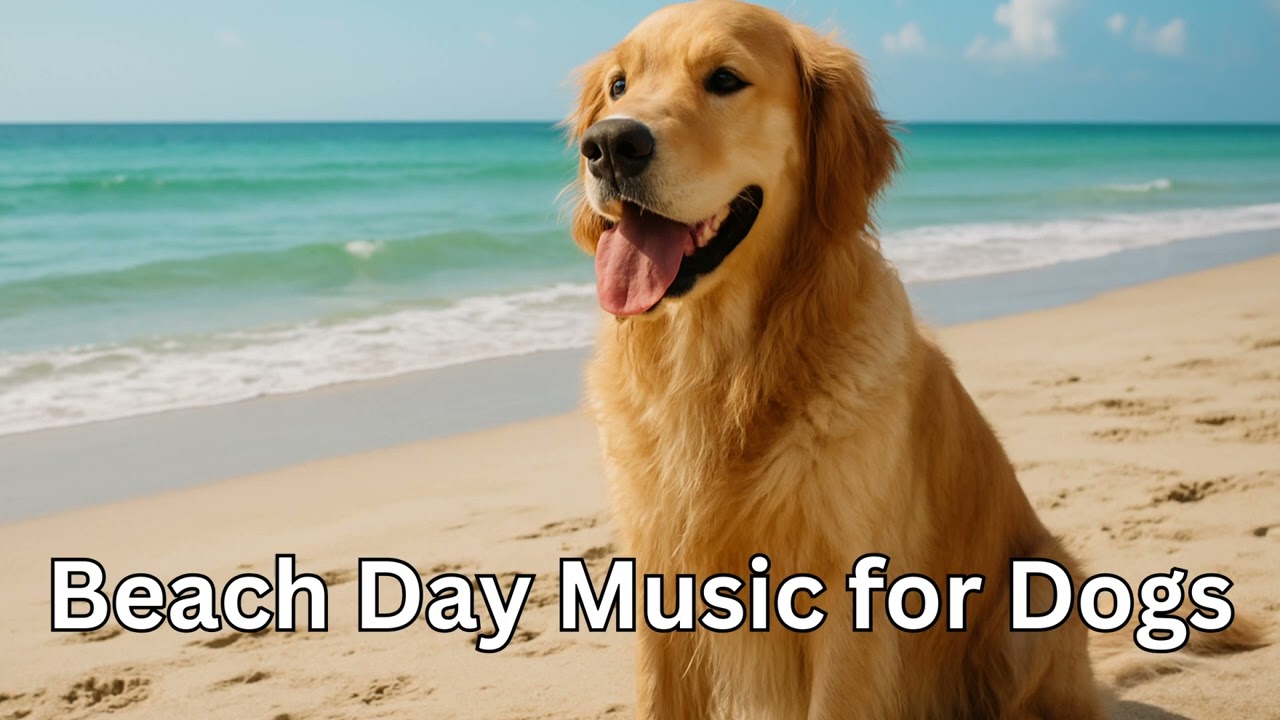 Beach Day Music for Dogs 🏖️🐶 | Relaxing Tropical Instrumentals with Ocean Vibes