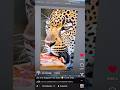 Use Adobe Photoshop Beta in Mobile