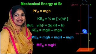 work, energy and power class 9 I law of conservation of energy I 9th physics malayalam