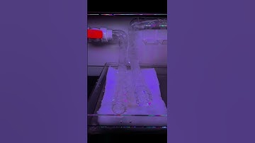 Setup bể nuôi cá vàng ranchu