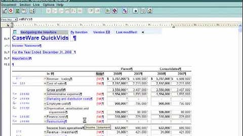 IFRS Financials: Getting Started - Navigating the Firm Interface