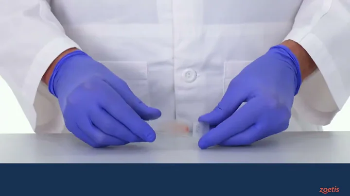 VETSCAN Imagyst Blood Smears Dos and Don'ts