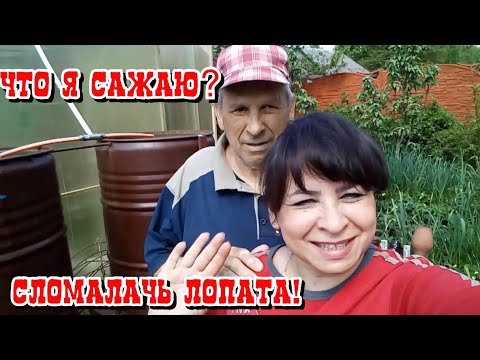 Хутор мамы ларисы на дзене последнее видео. Хутор мамы Ларисы. Хутор мамы Ларисы ютуб канал. Сегодня Хутор мамы Ларисы. Хутор мамы Ларисы фото.