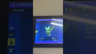 My Pokémon violet shiny collection #gamingcommunity