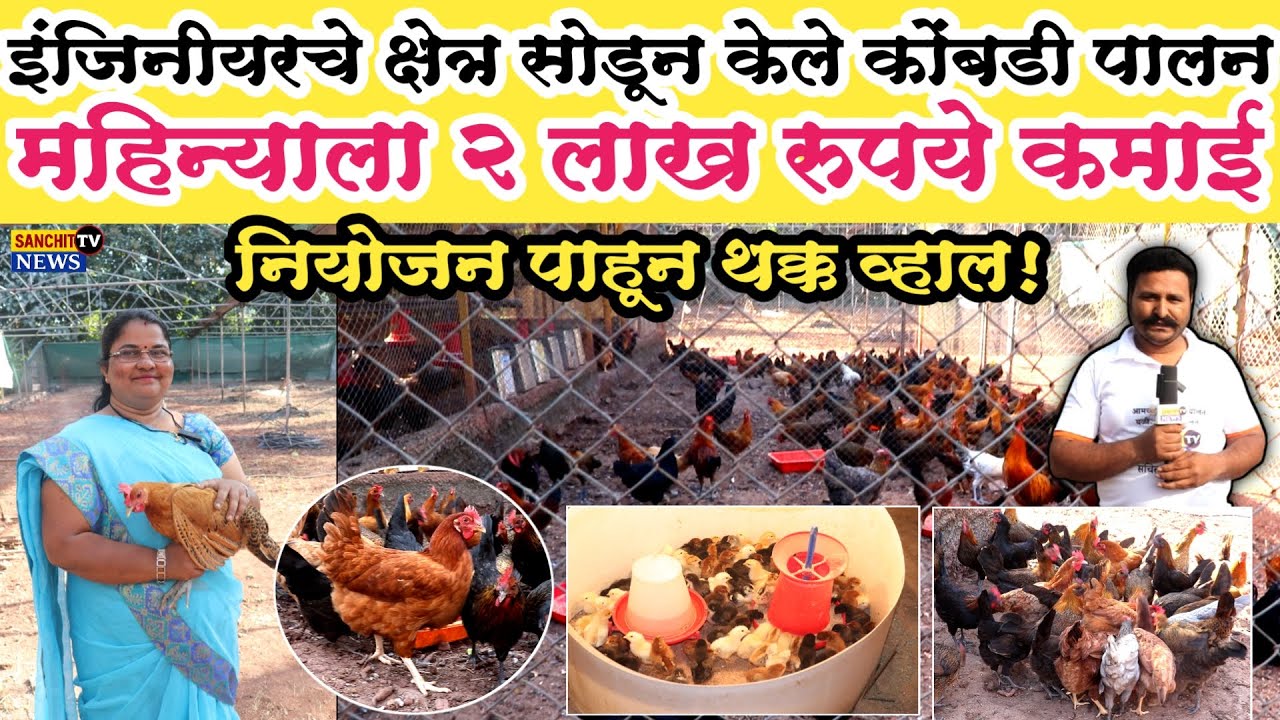इंजिनीयरचे क्षेत्र सोडून केले गावरान कोंबडी पालन | महिन्याला 2 लाख कमाई | नियोजन पाहून थक्क व्हाल! 🐔