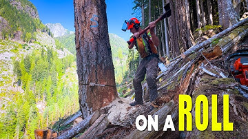 142. Smooth Day Cuttin’ Trees | SpinPan.com