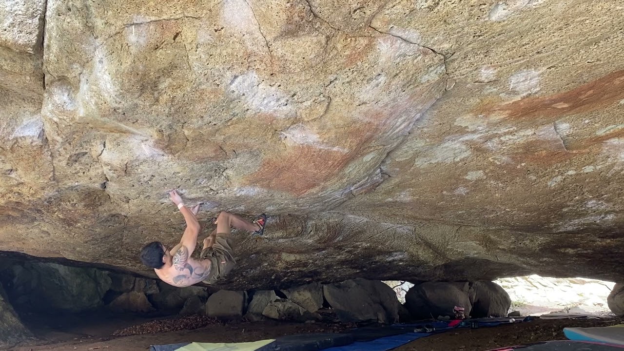 Birth of the Cool 五段－（V14)