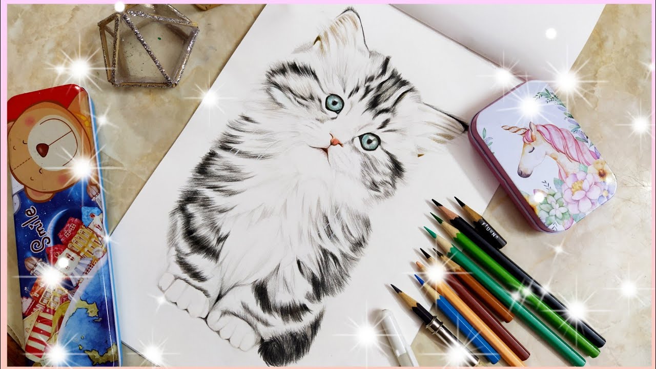 drawing a KITTEN in color pencils| speed drawing| time lapse| cat