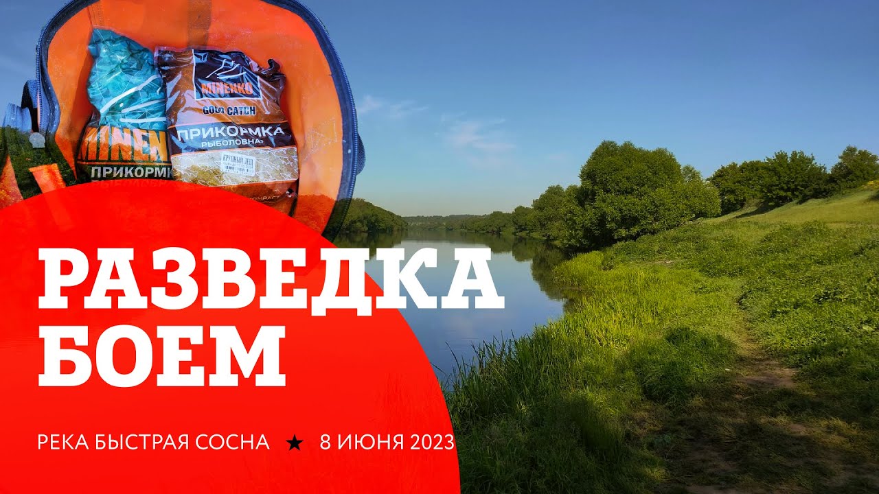 Рыбалка на реке Быстрая Сосна. Разведка старых мест - YouTube