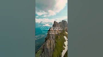أرح سمعك وقلبك تلاوة خاشعة 🎧🥹🤍🌿 القارئ عبد الرحمن مسعد 🌿