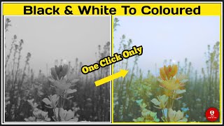 How To Convert Old Black & White Photo To Color Photo || Online Photo Editing || Awesome Trick ||