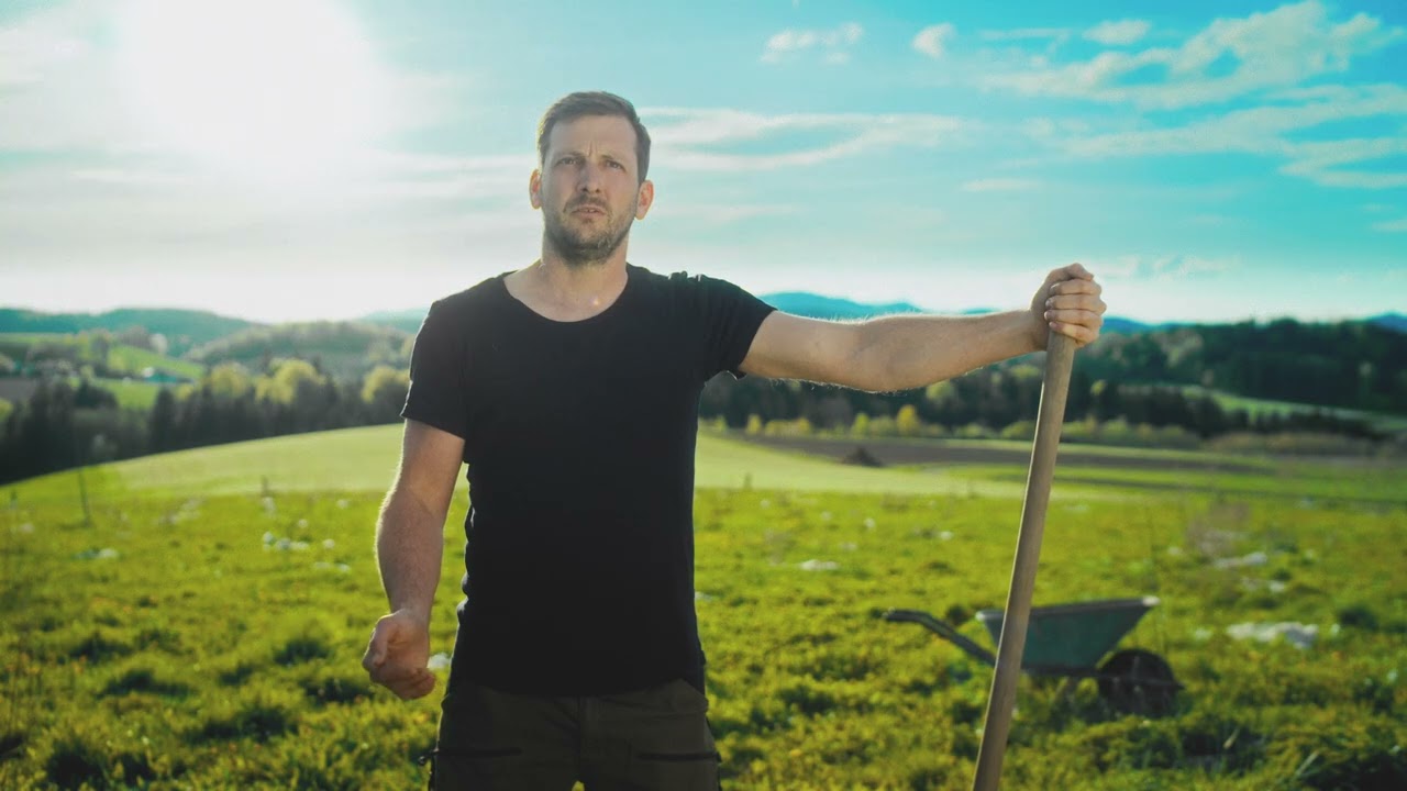 Paulownia Pflanzanleitung Pretzlhof /Kiribaum /Blauglockenbaum