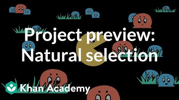 Project preview: Natural selection | Intro to CS - Python | Khan Academy