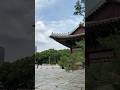 덕수궁 Deoksugung Palace #seoul #seoultravel #deoksugung #travel