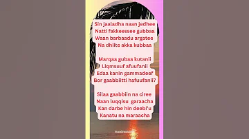 Walaloo Jaalalaa Hirkoo Oromomusic2024 Oromomusic2024 Oromoshorts Motivation Love Life 