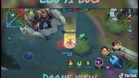 Lou Yi Bug Drone View