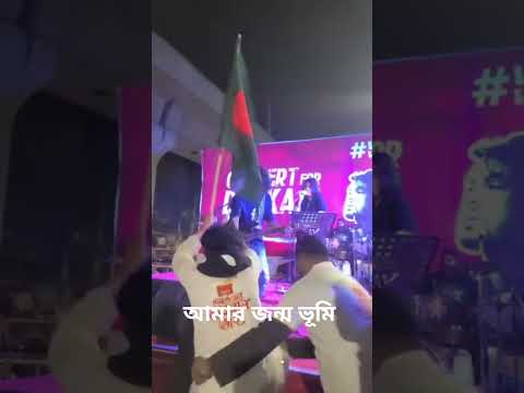 সকল দেশের সেরা আমার জন্ম ভূমি #shorts #short #shortvideo #shortsfeed