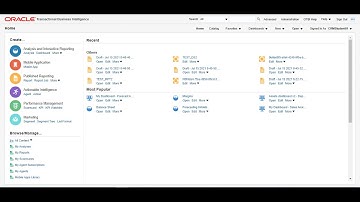 Sample Report using Oracle Transactional Business Intelligence OTBI