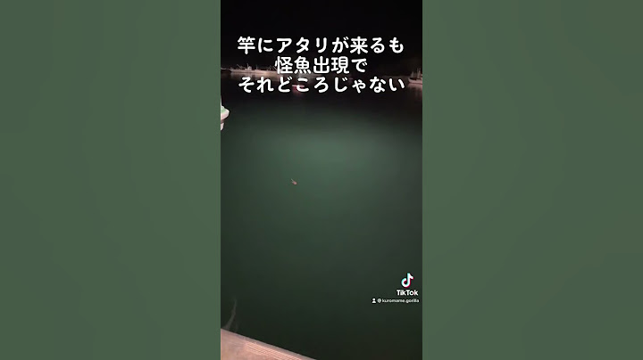 【怪魚出現】誰もいない夜の漁港で起こったホラー映像。