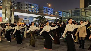 Tibetan dance 《藏北双湖传统联唱》