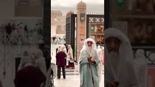 میں نورانی چہرے کا یہ بزرگ کون ہیں ؟Saudi Arabia old man viral video.