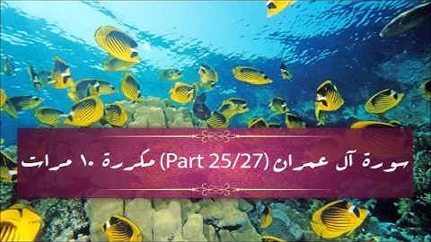 Surah Al-Imran (part 25/27) repeated 10 times - سورة آل عمران (part 25/27) مكررة 10 مرات