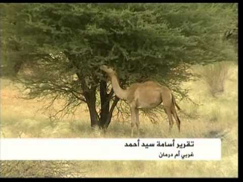 اقتصاد هذا الصباح 27/10/2012