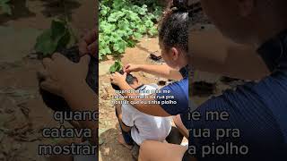 Pior Que Faltava Arrancar O Cabelo