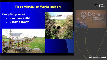 Flood protection and the Environment – how to manage the balance