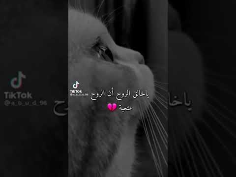 ياخلق الروح ان الروح متعبة مع نغمة حزين