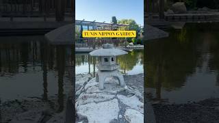 Tunisian Japanese Garden: Expectations vs Reality