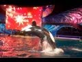 Shamu&#39;s Christmas: Silent Night/Joy to the World (12/16/12)