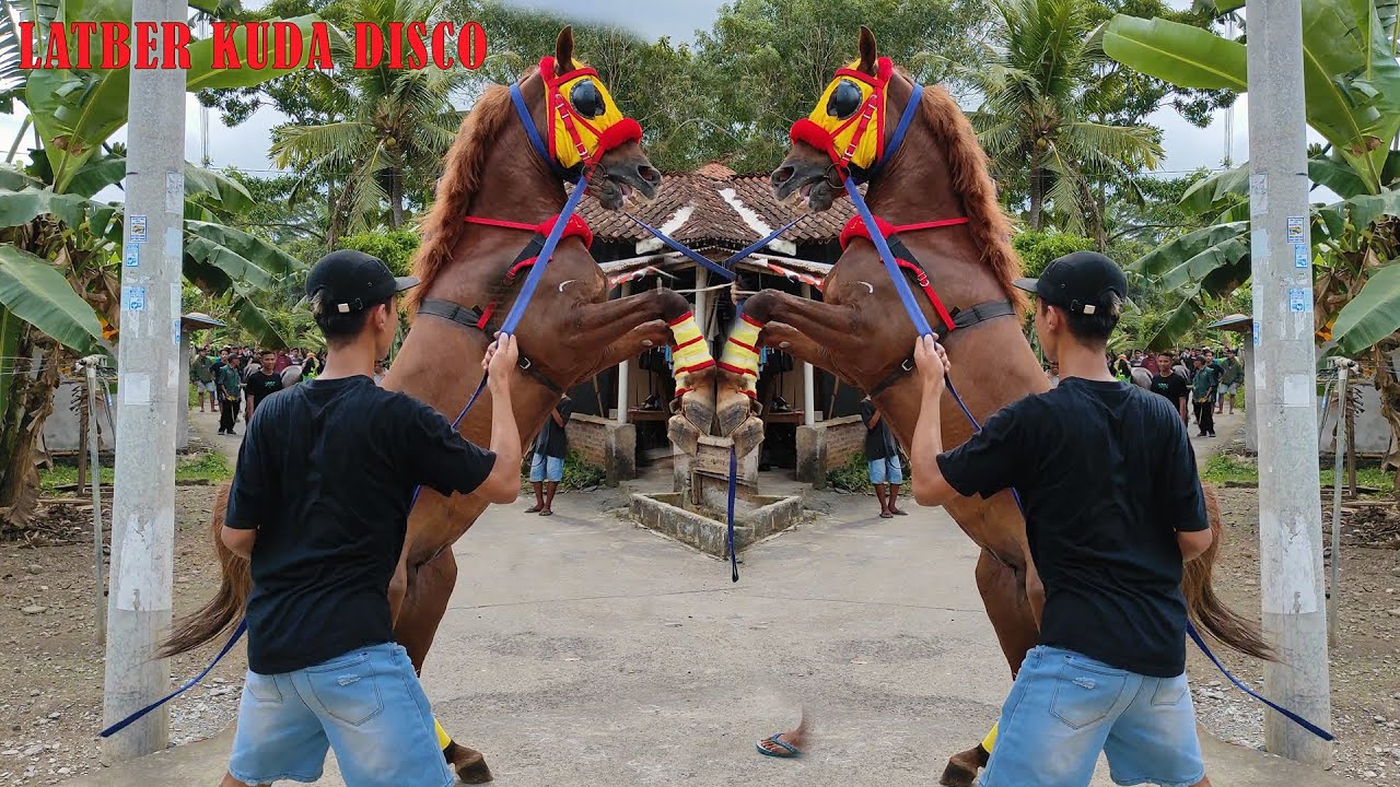 Cara Melatih Kuda Hebat-Latber Kuda Jingkrak Terbaru-Desa Kerep Kemiri