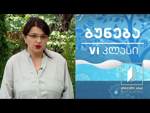 ბუნება, VI კლასი - ორგანიზმისათვის აუცილებელი ნივთიერებები #ტელესკოლა