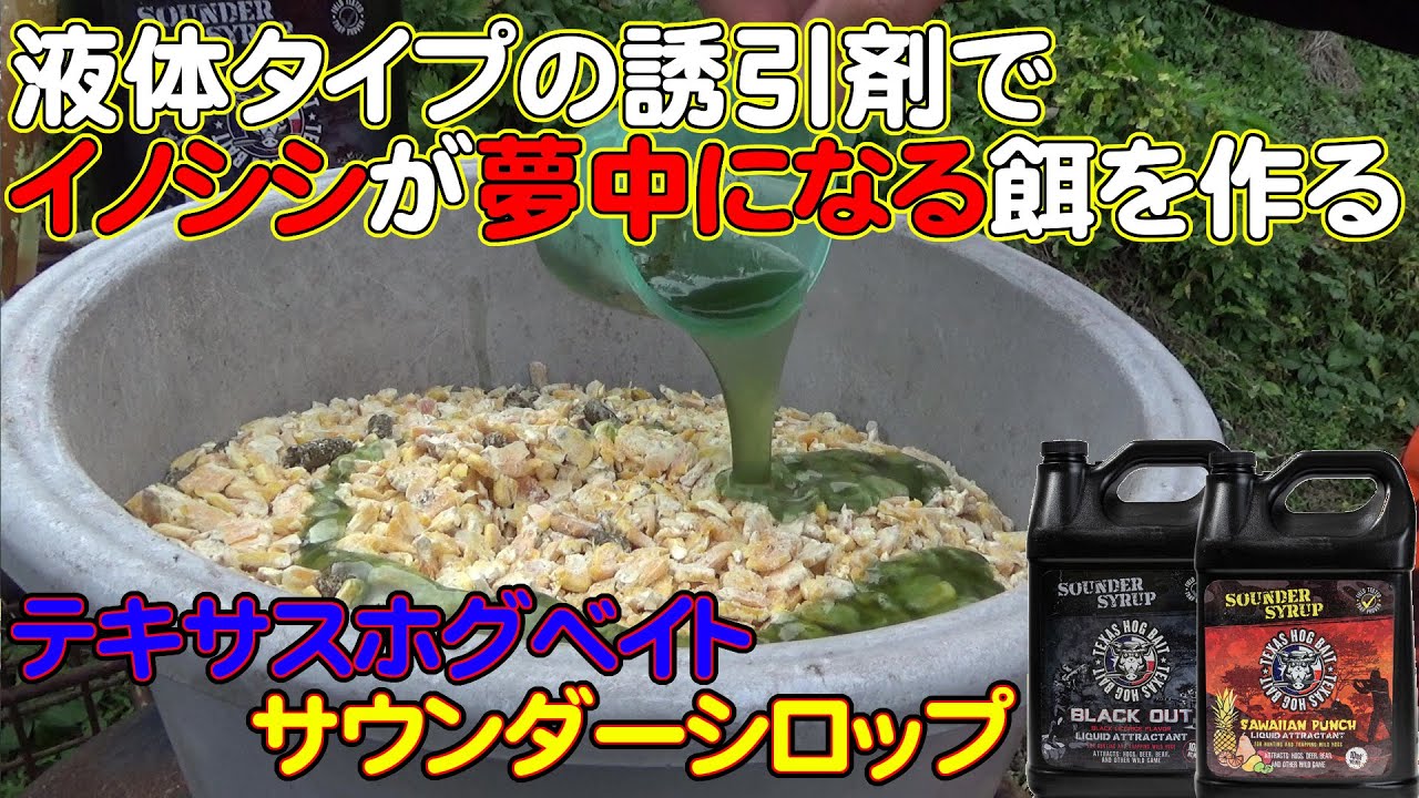 TEXAS HOG BAIT（テキサス ホグベイト） サウンダーシロップス サワイ