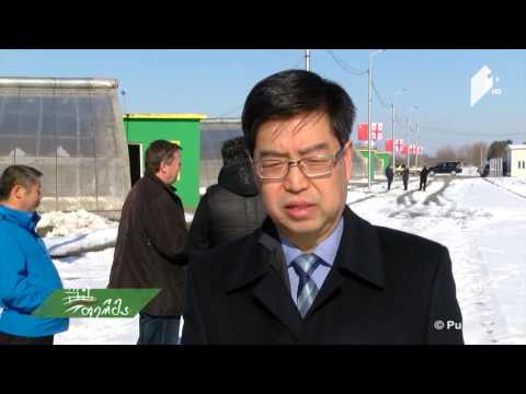 #ფერმა - შულავერის სადემონსტრაციო სასათბურე კომპლექსი