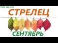 СТРЕЛЕЦ♐СЕНТЯБРЬ 2021🚀таро прогноз/таро гороскоп/Прозрачная колода!👍Все знаки зодиака!Онлайн прогноз