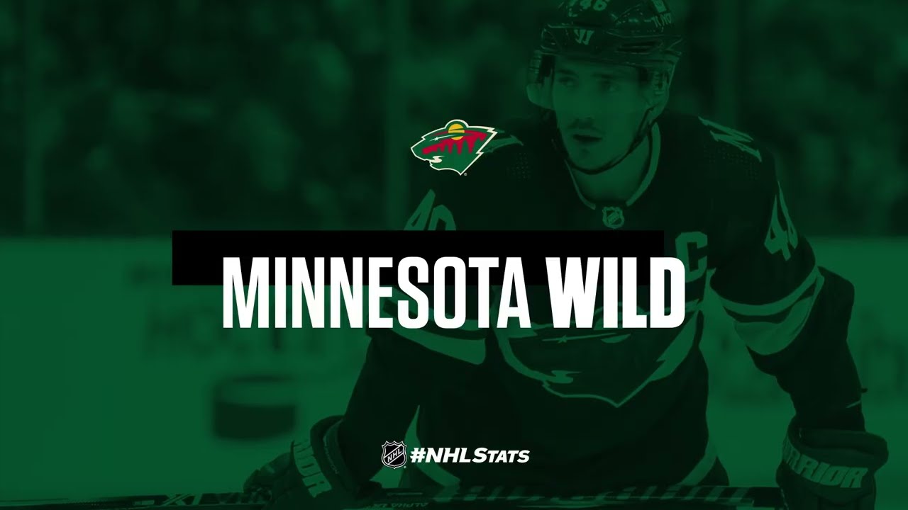 mn wild desktop