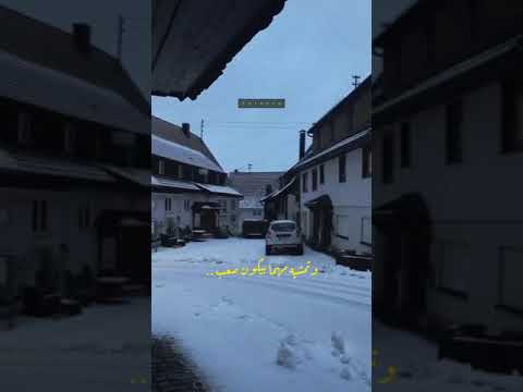 طريق بتختاره بأرادتك أصالة حالات واتس
