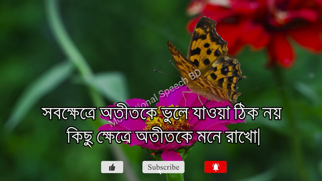 যে তোমায় কাঁদিয়েছে তাকে তুমি… | Heart Touching Motivational Quotes In Bangla 2021
