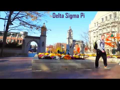Delta Sigma Pi | Alpha Pi Chapter | Spring Rush 2017