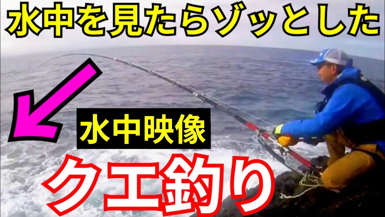 底物釣りの「謎」を解明した瞬間【磯クエ釣り】伊豆 - YouTube