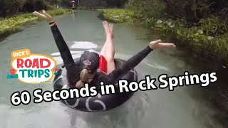 60 Seconds at Rock Springs | Kelly Park Apopka, FL by Rix Road Trips 2,369 views 2 years ago 1 minute, 36 seconds