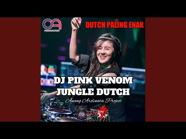 DJ Pink Venom Jungle Dutch class=