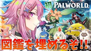 舞坂ねあるchの配信のサムネイル画像