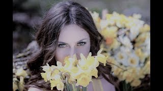 Video thumbnail of "Seven Daffodils - Carol Kidd［가사 번역 ］"