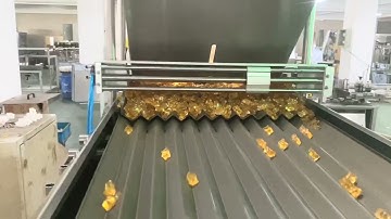 Bear gummy counting machine