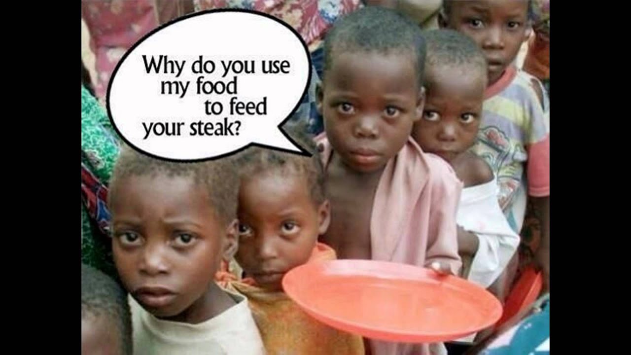 MEAT = WORLD HUNGER (Human Animal Rights Famine Malnutrician Abuse