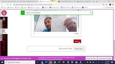 Embed Pictures on Canvas Essay Questions