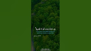 وآتاكم من كل ما سألتموه وإن تعدوا نعمت الله لا تحصوها   القارئ خالد الجليل